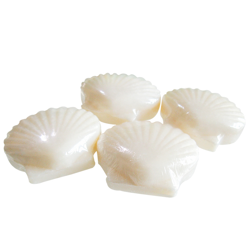  Shell shaped soap